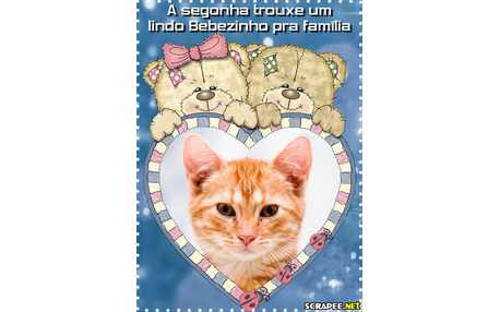 Moldura - Montagem Para Bebe