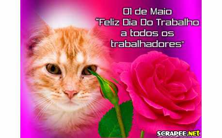 Moldura - 01 De Maio