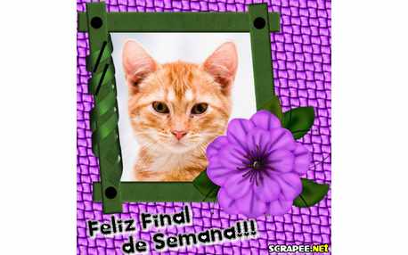 Moldura - Moldura De Final De Semana