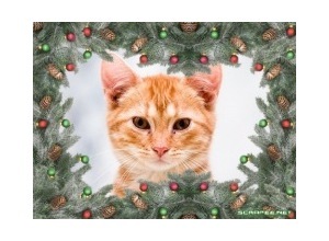 Moldura - Moldura Natalina