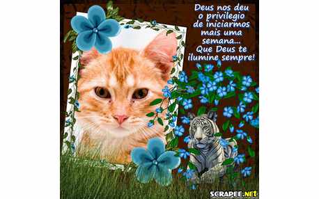 Moldura - Privilegio