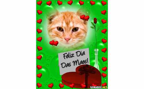 Moldura - Dia Das Maes