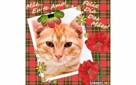 Moldura - Moldura Do Dia Das Maes