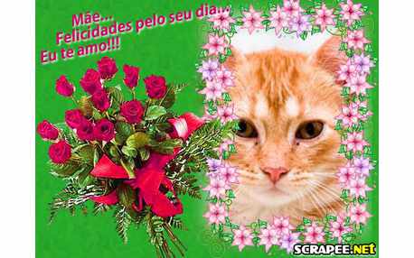 Moldura - Felicidades Para Mae