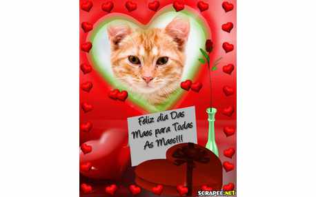 Moldura - Felicidades Para Todas As Maes