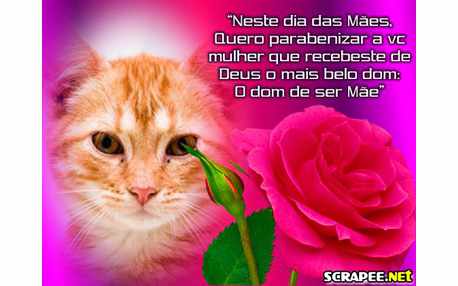 Moldura - Parabens A Todas As Maes