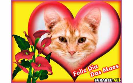 Moldura - Montagem Para O Dia Das Maes