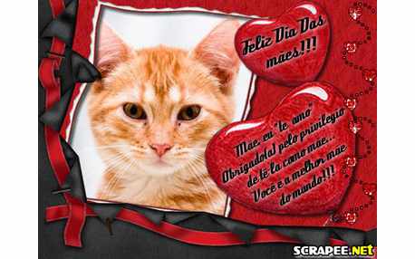 Moldura - Feliz Dia Das Maes