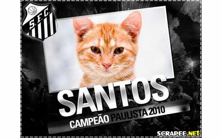Moldura - Santos Campeao Paulista 2010