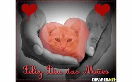 Moldura - Montagem Do Dia Das Maes