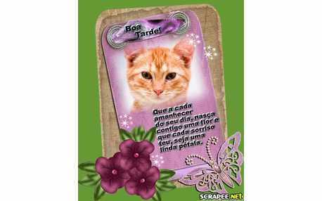 Moldura - Cada Amanhecer