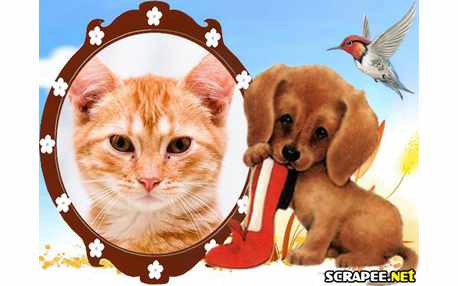 Moldura - Comedor De Sapatos