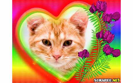 Moldura - Muitas Cores