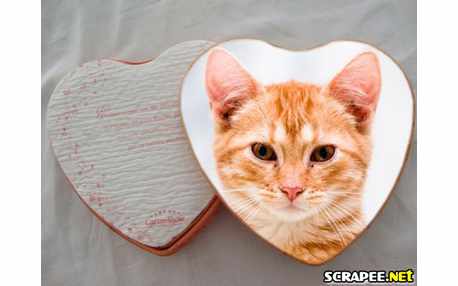 Moldura - Caixa De Coracao