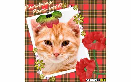 Moldura - Meus Parabens