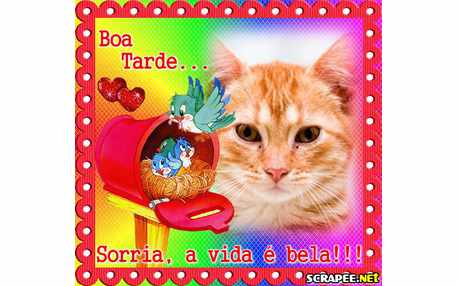 Moldura - Desenho De Passarinho