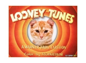 Moldura - Montagem Looney Tunes
