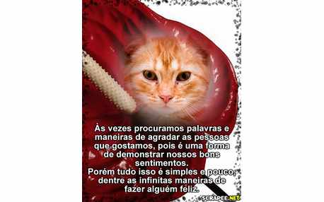 Moldura - Mensagem Em Foto