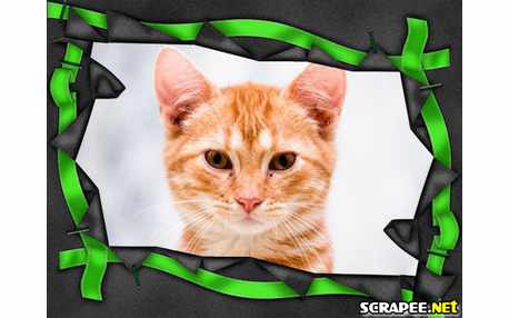 Moldura - Borda Com Fita Verde