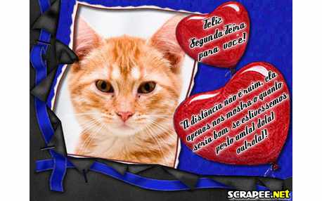 Moldura - Montagem De Segunda Feira