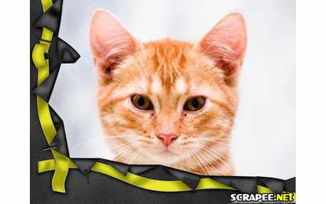 Moldura - Meia Borda