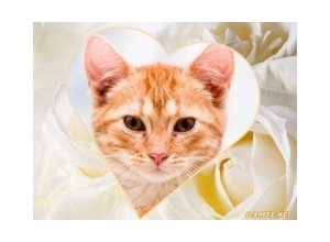 Moldura - Montagem Coracao