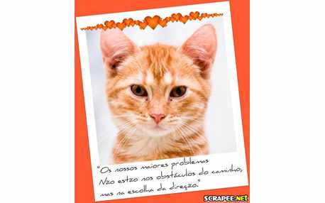 Moldura - Direcao Certa