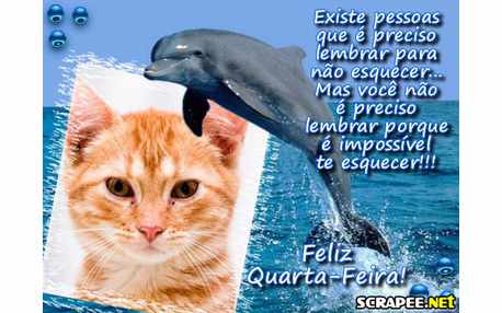 Moldura - Montagem Para Quarta Feira