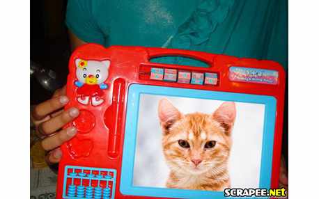 Moldura - Losa Magica