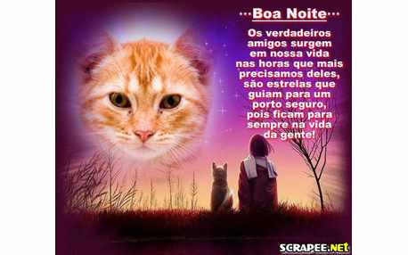 Moldura - Mensagem De Boa Noite