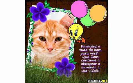 Moldura - Parabens E Tudo De Bom