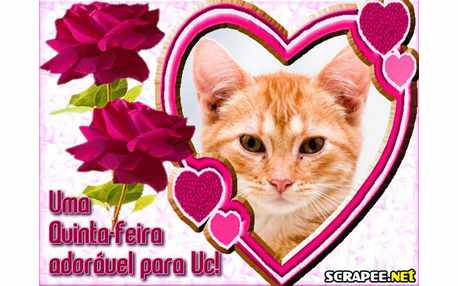 Moldura - Quinta Feira