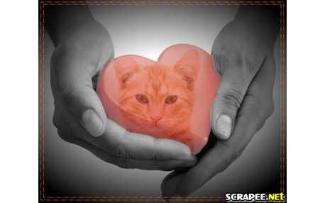 Moldura - Montagem De Coracao