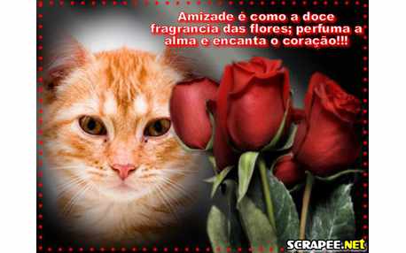 Moldura - Fragrancia Das Flores