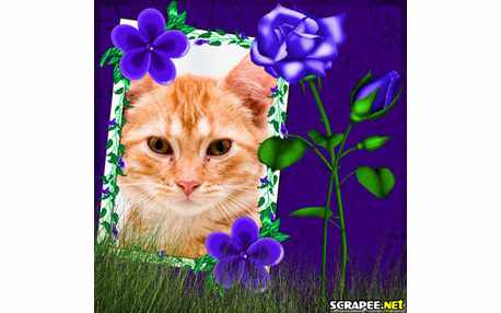 Moldura - Montagem De Jardim