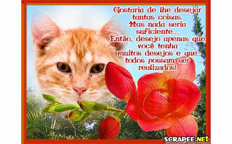 Moldura - Melhor Desejo