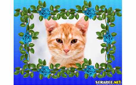 Moldura - Borda Florida