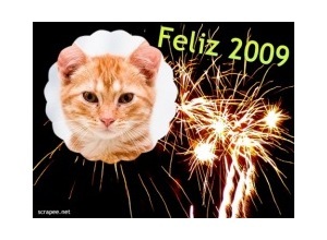 Moldura - Montagem Feliz 2009