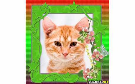 Moldura - Simples Assim