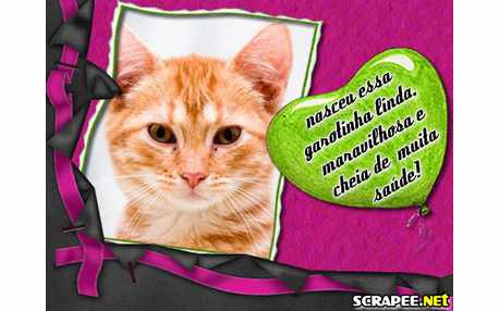 Moldura - Nascimento De Menina