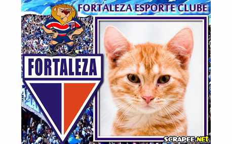 Moldura - Fortaleza Esporte Clube