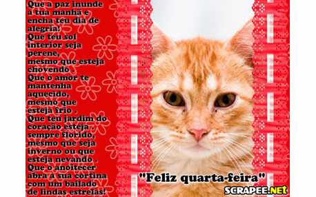 Moldura - Quarta Feliz