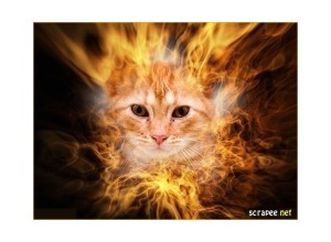 Moldura - Entre As Chamas