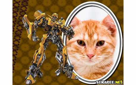 Moldura - Montagem Do Bublebee