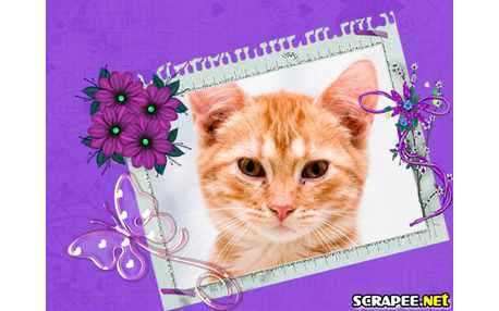 Moldura - Folha De Caderno Rasgada