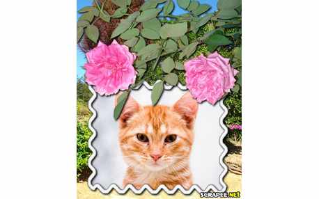 Moldura - Rosas Naturais