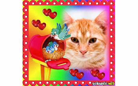 Moldura - Passarinhos