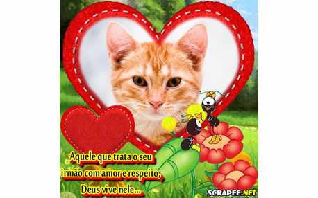 Moldura - Montagem Do Smiliguido