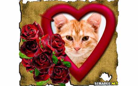 Moldura - Flores Vermelhas