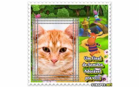 Moldura - Final De Semana